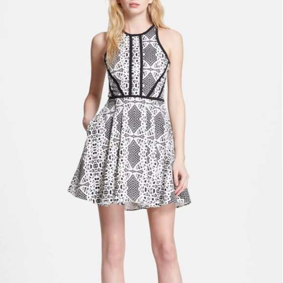 Parker 'Hudson' Print Fit & Flare Dress M 6 8 - Picture 1 of 10